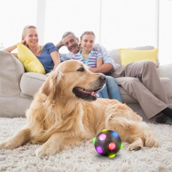 Upplyst hundboll, självgående hundboll, hoppande aktiveringsboll, hundskakboll, leksak, blinkande boll, elastisk husdjursträningsleksak (FMY) black S