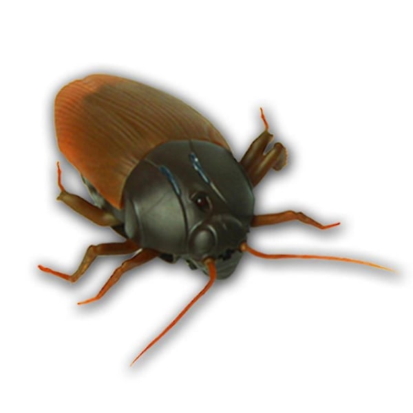 Barneleker Morsomme Rc Infrarøde kakerlakker Fjernkontroll Mock Fake Animal (FMY)