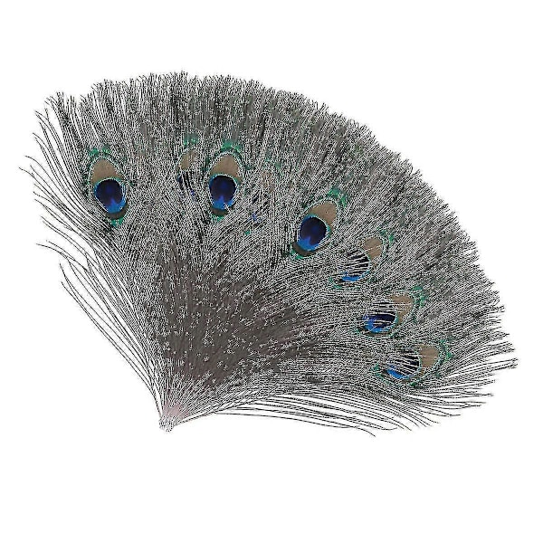 Luonnolliset suuret pavipääskyjen höyhenet koristeluun (FMY) 10 pcs x Small  20-30cm
