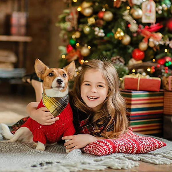 Plaid Hunde Bandanas, 2 stk. Reversible Triangle Hunde Halstørklæde Med Kvastkanter (FMY) C-65*45*45cm