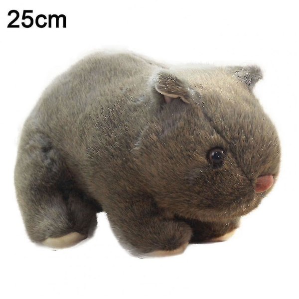 Bomull Praktisk Plysj Fylt Wombat Leke Fotografi Rekvisitt Fylt Wombat Leke Nydelig Utseende For Stue Fk  (FMY) Brown 25cm