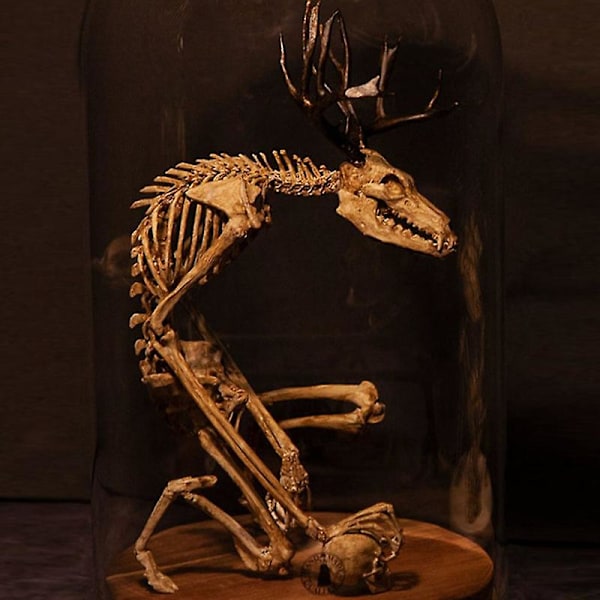 Wendigo-skjelett kuriositetskabinett harpiks skrivebordsornament hjemmekontor dekorasjon (FMY) A