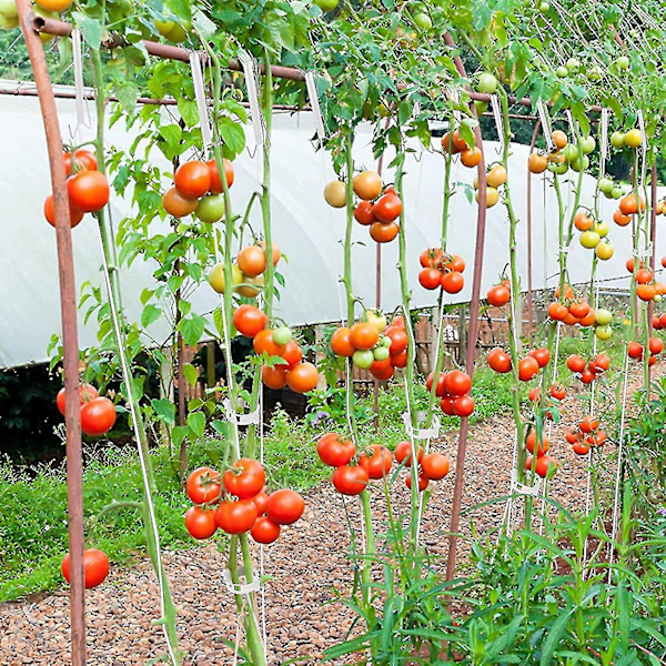 Tomatställningskrokar, Tomat J-ställ, 12 stycken Tomatrepkrokar med 10m rep, Tomatkrok, Tomatklämmor. (FMY)