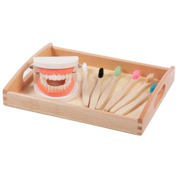 Tannform leketøy med tannform og tannbørste for barn Realistisk late som leke leketøy Barn Småbarn Utdanning Undervisning (FMY)