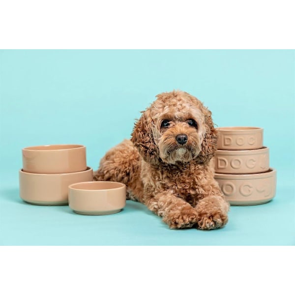 Mason Cash Grå Prikket Hundeskål, 13 cm (FMY) Mason Cash Cane Pet Bowl 15cm 15cm (Pack of 1)