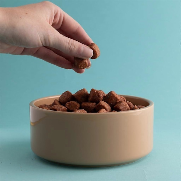 Mason Cash Grå Prikket Hundeskål, 13 cm (FMY) Mason Cash Cane Pet Bowl 15cm 15cm (Pack of 1)