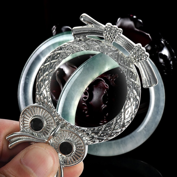 6x Förstoringsglashänge Retro Halsband för förstoringsglas för kvinnor Bärbar ficka (FMY)