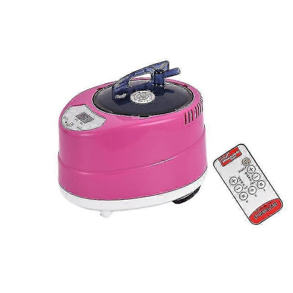 1000w Rustfritt Stål Badstu Steamer Pot Maskin Bærbar Badstu Dampgenerator Fumigeringsmaskin For Hjemme Spa (FMY) Pink