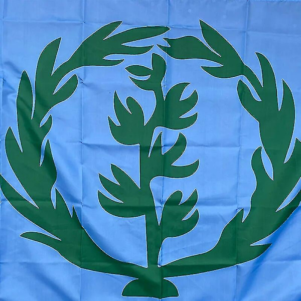 Anpassad flagga 90*150 cm Historisk flagga för Eritrea 1952-1962 ) Storlek Juldekorationer för hemflagga Banner (FMY) Blue and White Stripe 60 x 90cm
