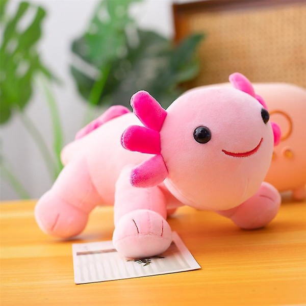 30cm Kawaii Axolotl Plys Legetøj Sød Tegneserie Salamander Dukke Blød Stoppet Dyr Plys Legetøj Baby Pude Børn Fødselsdag Gave  (FMY) C