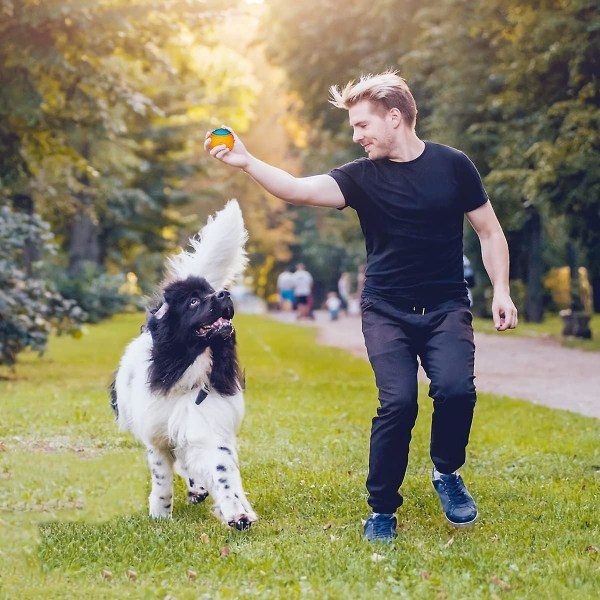 3 kpl Piipaattavaa Koiranpalloa, Scooby Doo Koiranpallolelu Hammaspuhdistukseen Pennuille Interaktiivinen Pureskeltava Kestävä Leikki (FMY) blue orange