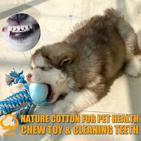 Kitkuva koiran pehmolelu, ei täytettyä virtahepo koiran lelu Pehmo tuhoutumaton koiran lelu tylsyyteen pienille keskikokoisille koirille (sininen) (FMY)