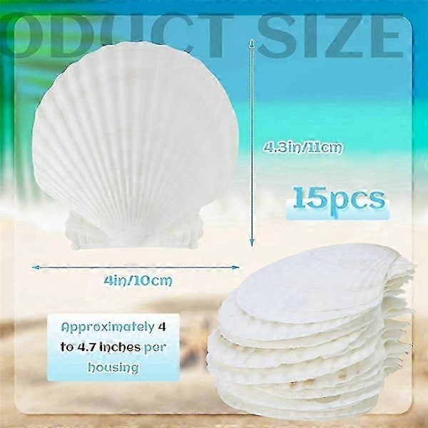 15 stk. naturlige skjell, store hvite, 10-12 cm kamskjell for DIY-håndverk, servering av mat, baking (FMY) White