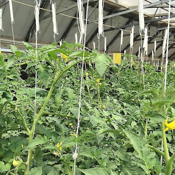 Tomatställningskrokar, Tomat J-ställ, 12 stycken Tomatrepkrokar med 10m rep, Tomatkrok, Tomatklämmor. (FMY)