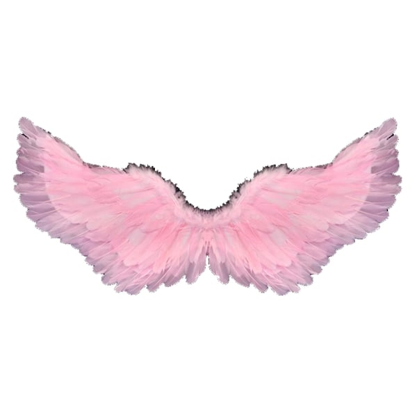 Änglafjädervingar med elastiska remmar Ljus färg Lätt kostym Cosplay Wings Photography (FMY) Pink