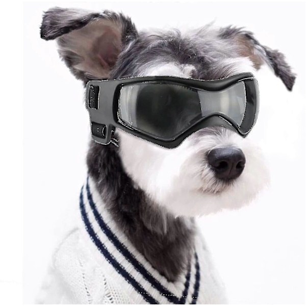 Hundglasögon UV Vattentäta Vindtäta Justerbara Hundsolglasögon Mode Hundglasögon Lämpliga (FMY)