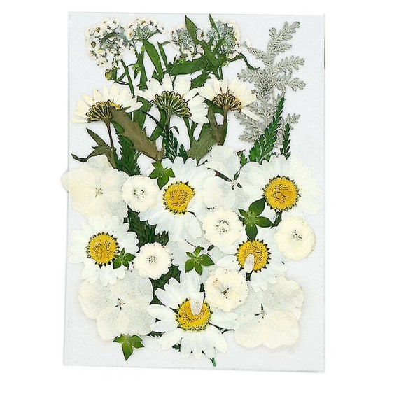 Transparenta bokmärken för torkade blommor Handgjorda naturliga bokmärken för torkade blommor, äkta torkade blommor Pressade blad för epoxiharts smycketillverkning (FMY)