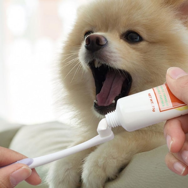 Tandborste för husdjur med långa skaft Tandborste med små huvuden Rengöring av hundkattborste (FMY)