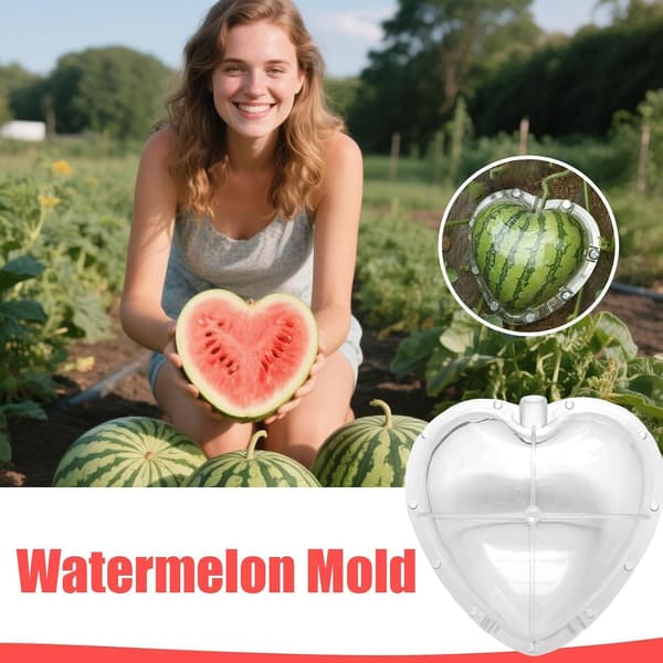Vannmelonform, gjenbrukbart hagetilbehør, gresskarform (FMY)