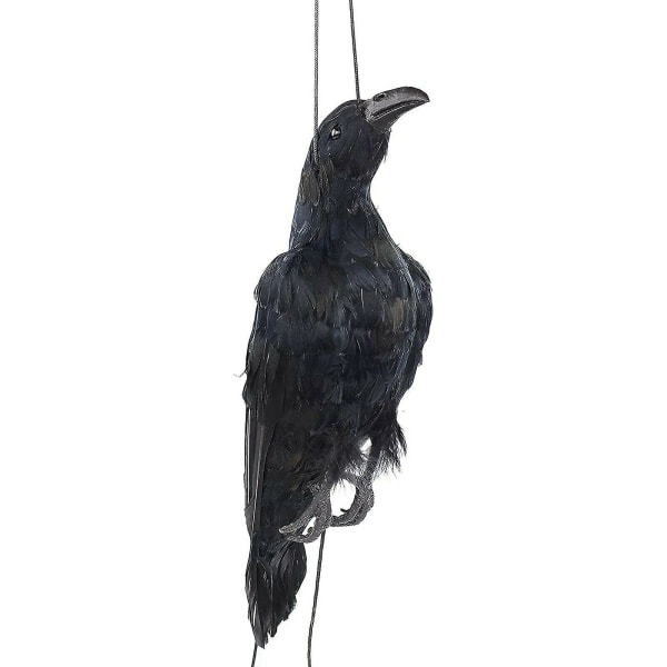 Realistinen riippuva kuollut varis houkutus, aitoa kokoa, erittäin suuri musta sulkavaris (FMY)