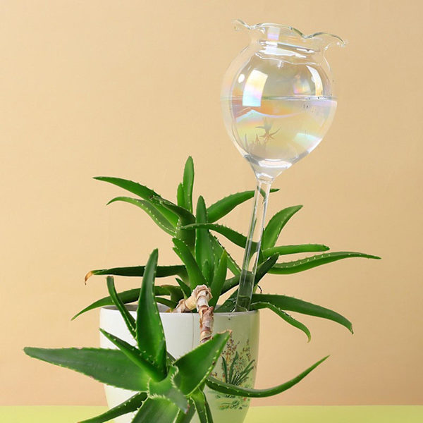 Plantevandere Selvvandede Kugler Selvvandede Pigge Håndblæst Klar Glas Plantevandspærer Enheder Til Indendørs Udendørs (FMY) 2Pcs