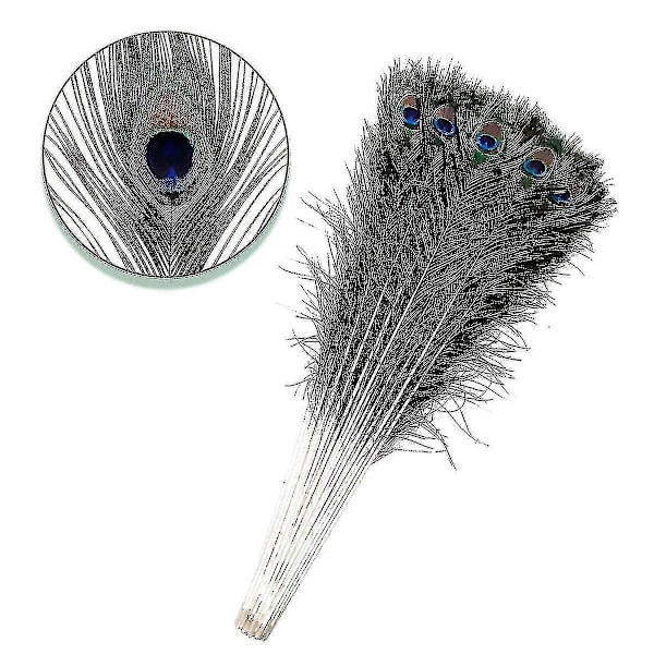 Luonnolliset suuret pavipääskyjen höyhenet koristeluun (FMY) 10 pcs x Large  40-50cm
