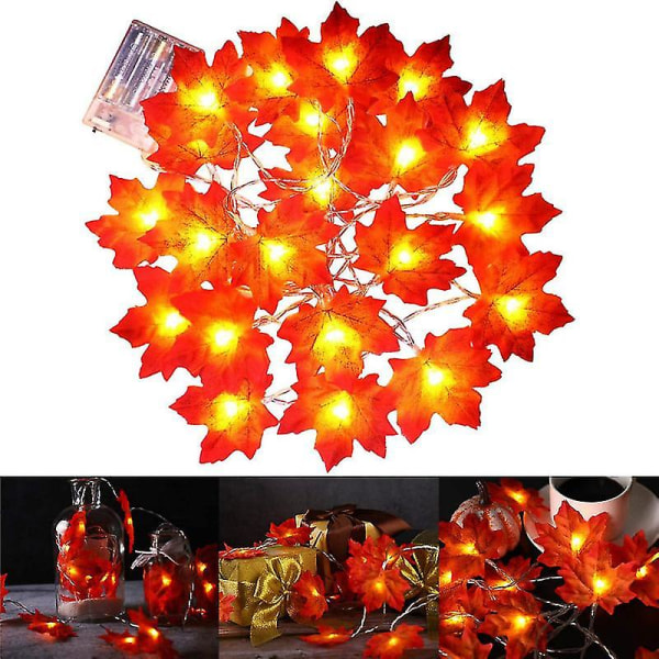 50 led-koristetta kodin syysseppeleen syksyn sisustukseen, kiitospäivän koristeluun syysseppele ja valot, 6 m 50 valon akkumalli (FMY)