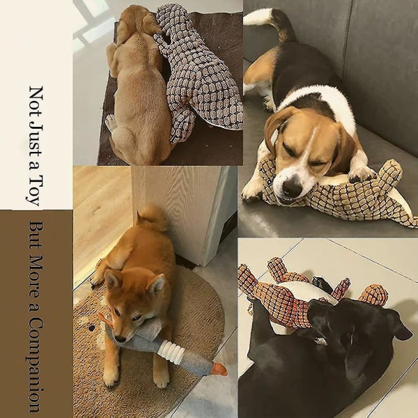 Oförstörbar Robust Dino, Pipande Hundleksaker För Aggressiva Tuggare, Okrossbar Fylld Plysch Hund Leksak (FMY) Green