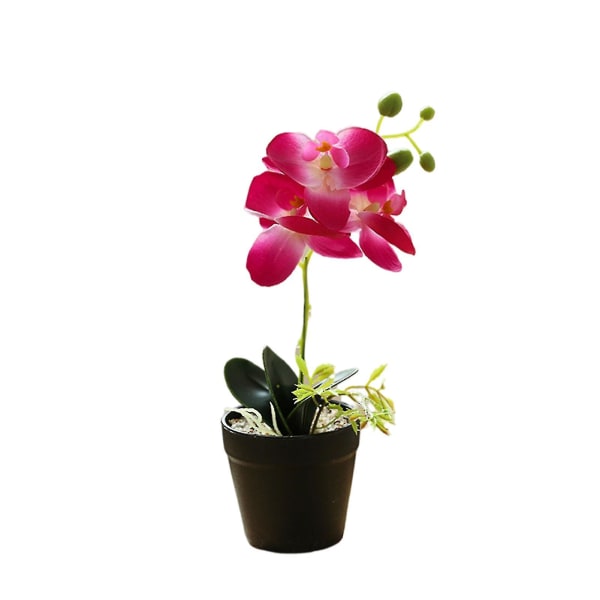 Simulering Bonsai Lättskött Dekorativ 3-huvuden Romantisk krukväxt konstsilke Orkidé Blomma Hemdekoration (FMY)