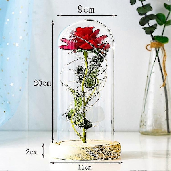 Skjønnheten og Udyret Rose, Evig Rose I Glass Rose I Glasskuppel Roser  (FMY)