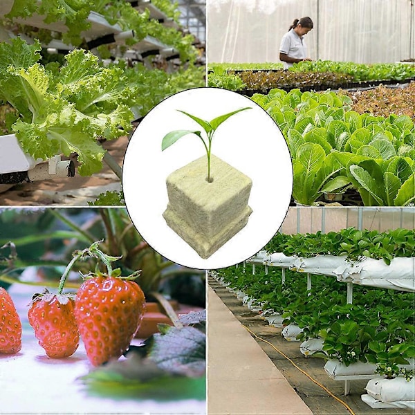 100 stk. Stenulds Hydroponisk Dyrkningsmedie Starter Cubes Plant Cubes Haveartikler (FMY) 4X2.5cm