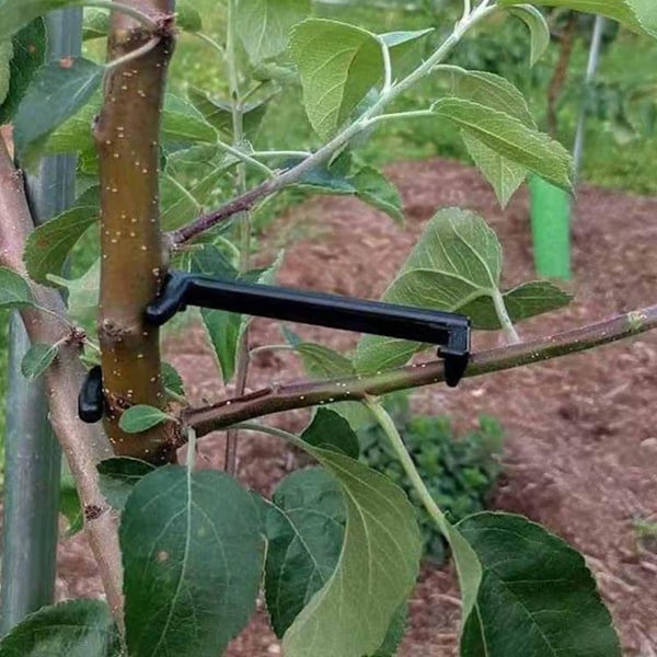 20 stk. Frugttræ Gren Spreder til Stærk Spredning Skridtvinkler Grene  (FMY) 20PCS