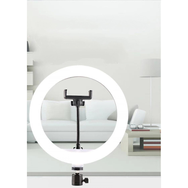 30cm Selfie Ringlys, dæmpbar Desktop LED Lampe Kamera Ringlys (FMY)