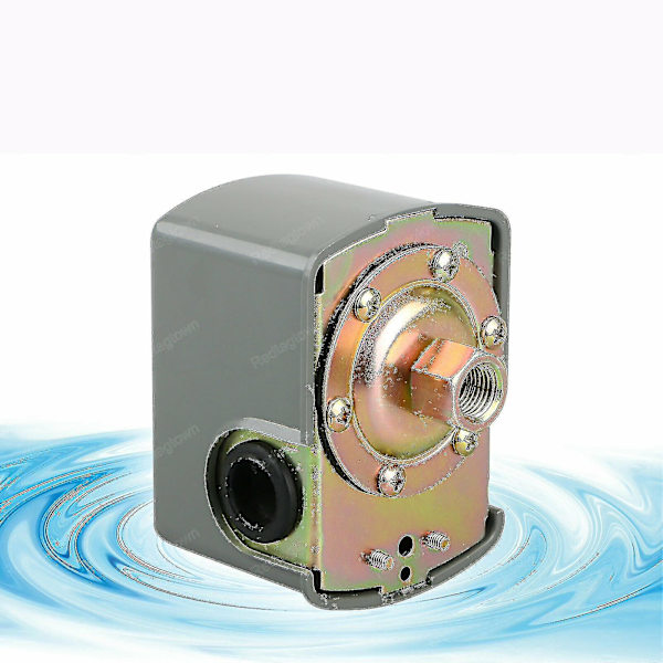 Vattenpump Tryckbrytare (FMY)