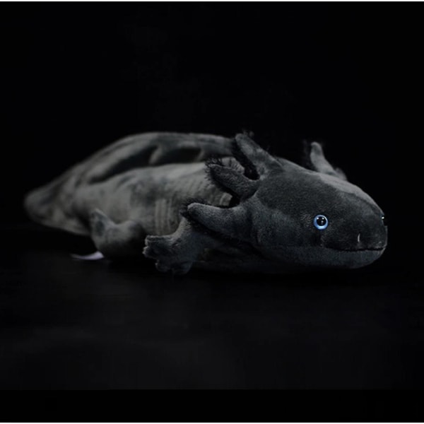 Axolotl pehmolelu Ambystoma Mexicanum dinosaur eläin nukke lahja (FMY) Black