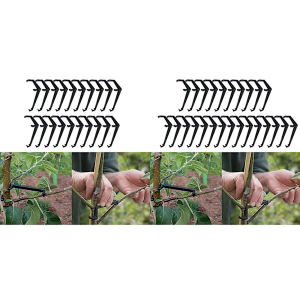 20 kpl Hedelmäpuun Oksan Oksanhaarake Vahvaan Levitykseen Haarukkakulmat Oksat  (FMY) 25PCS
