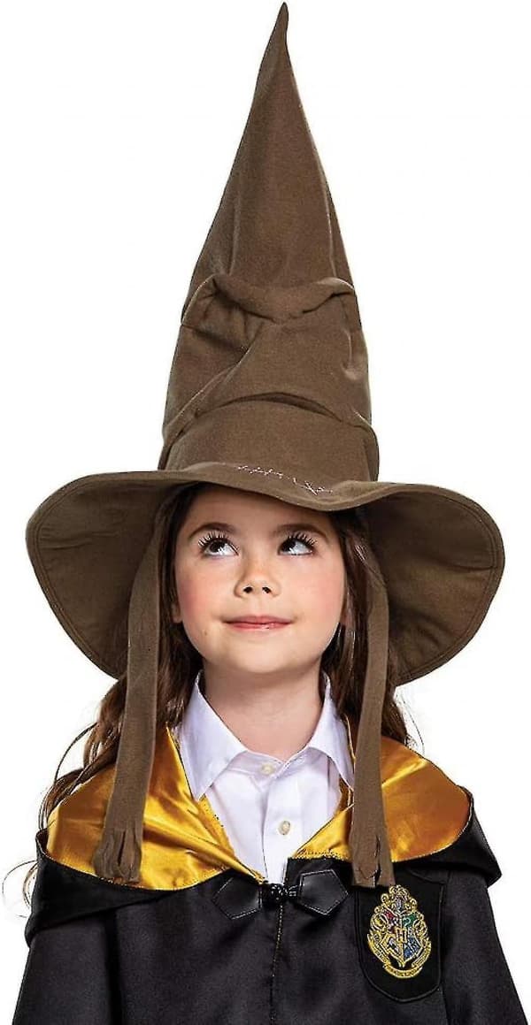 Forklædning Harry Potter Tryllehat, brun (FMY)