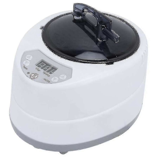 1000w Rustfrit Stål Sauna Dampkoger Maskine Bærbar Sauna Dampgenerator Fumigationsmaskine Til Hjemme Spa (FMY) Green