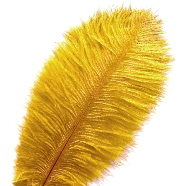 20 Pcs Gold Ostrich Feathers Plumes 8-10 Inch(20-25 Cm) Bulk For Wedding Party, Easter, Gatsby Decorations  (FMY)