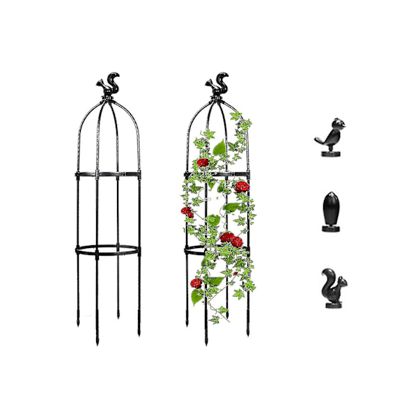 Havelobelisk espalier til klatreplanter udendørs-potter rustfrie metal plante blomster espalierer (FMY) Black 2 layers