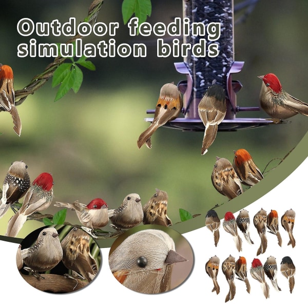 12 stk fjærfugler kunstig skum mini kjærlighetsfugler utendørs fuglemater tiltrekker seg (FMY) 2Set