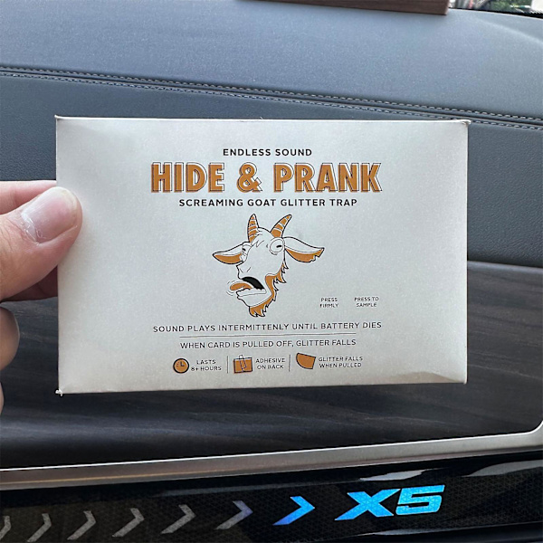 ENDLESS SOUND HIDE & PRANK SKRIKANDE GET GLITTER FÄLLA Kreativt kort, Kampanj (FMY)