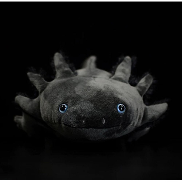 Axolotl plyschleksak Ambystoma Mexicanum dinosauriedjur docka present (FMY) Black
