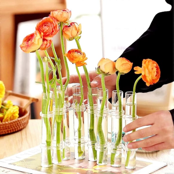 Hinged Blomvas Testtube, 8st Testtubes Blomvas Växtdisplayhållare, Bordscentrumvas Med Borste (FMY) 8Pcs S- 15 x 2.2 cm