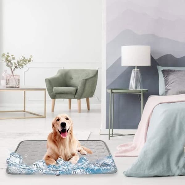Kølemåtte - 70x55cm - Genanvendelig - Brun - Til hunde