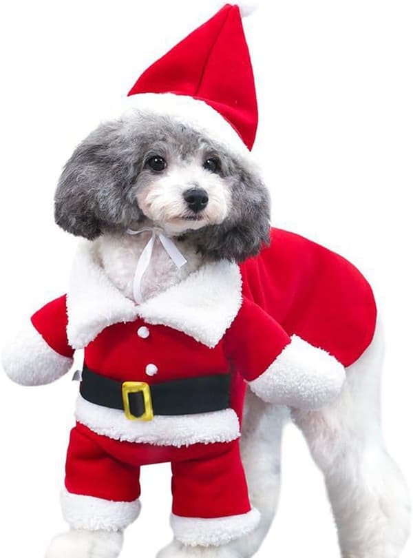 Julekostume til hunde, julemandskostume med kappe