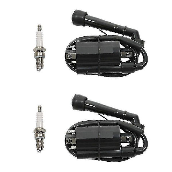 x Tændspole Tændrør Kompatibel med Suzuki Intruder VS700 VS750 VS800 1986-2004