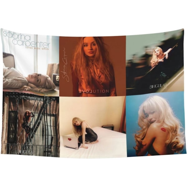 WUGXCOLL Sabrina Carpenter Seinävaate Seinäkoriste Opiskelija-asunnon Seinätaide Lippu Juhlakoriste Banneri Tausta Kodin Sisustus Makuuhuoneeseen Ja Olohuoneeseen Color1 60x40in
