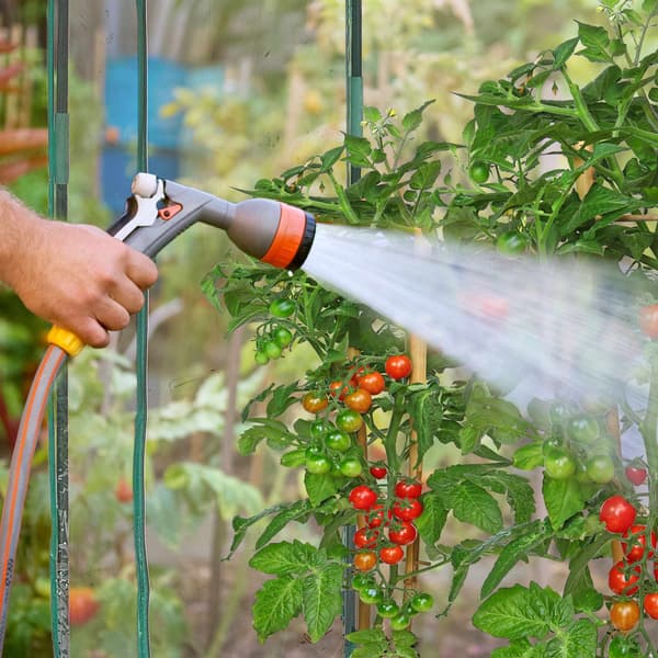 Tomatdrivhus av PVC-plast 3560