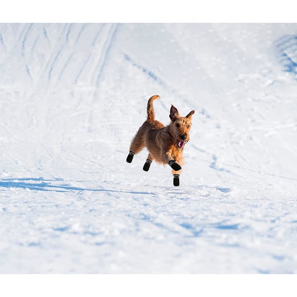 Hundskor, varma och sköna vinterstövlar, mjuka sulor, halkfria sneakers med reflekterande remmar, för liten hund (svart)